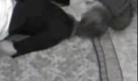 女の子との休暇 女性 の ため アダルト ビデオ
