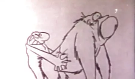 お尻の下の枕は必見です 女 向け アダルト ビデオ
